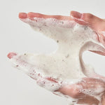 Heartleaf Quercetinol Pore Deep Cleansing Foam Anua *renewal*