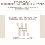 Skin 1004 Madagascar Centella Probio-Cica Intensive Ampoule