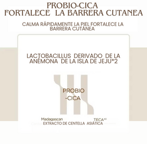 Skin 1004 Madagascar Centella Probio-Cica Intensive Ampoule