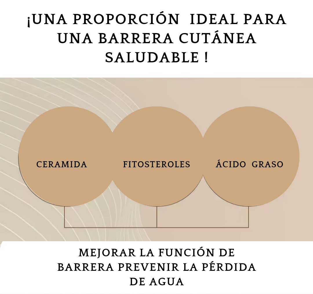 Skin 1004 Madagascar Centella Probio-Cica Intensive Ampoule