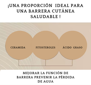 Skin 1004 Madagascar Centella Probio-Cica Intensive Ampoule